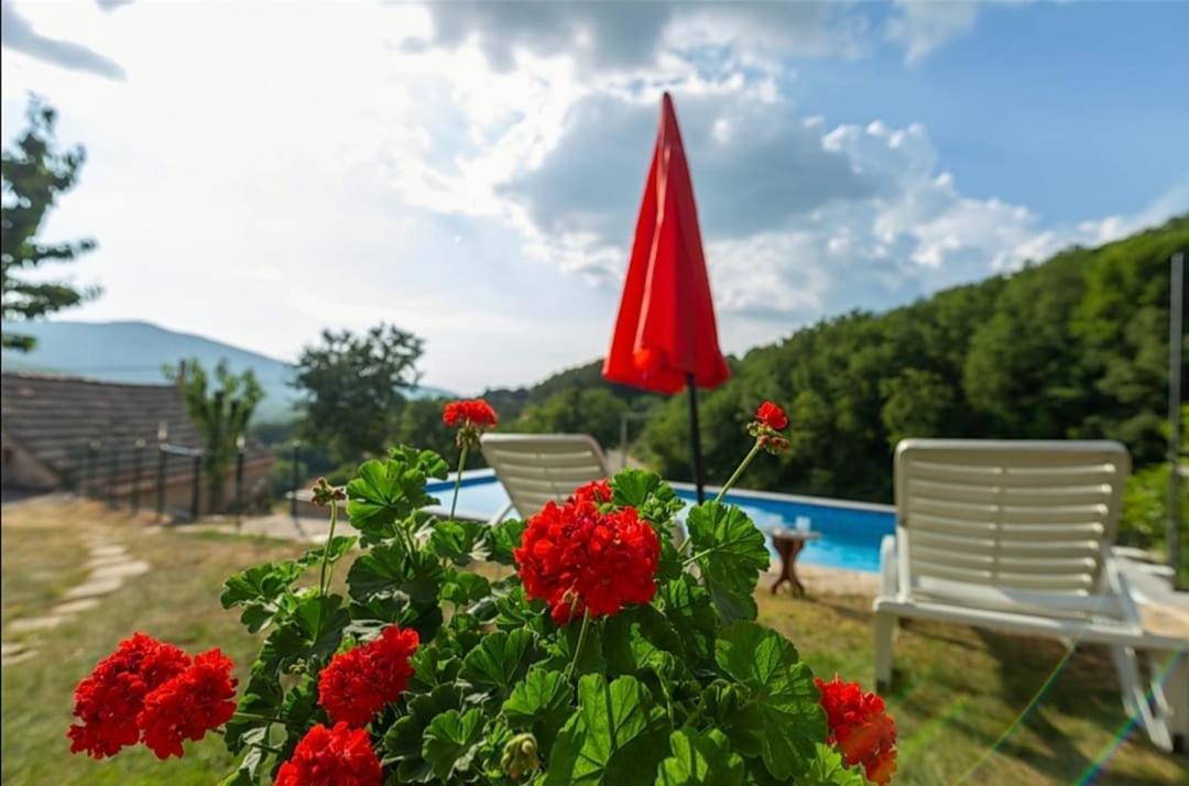 Вілла Honey House Grabovac  Екстер'єр фото