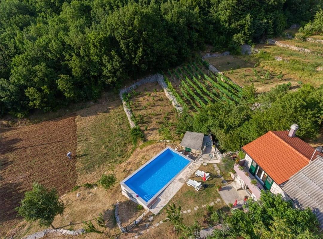 Вілла Honey House Grabovac  Екстер'єр фото